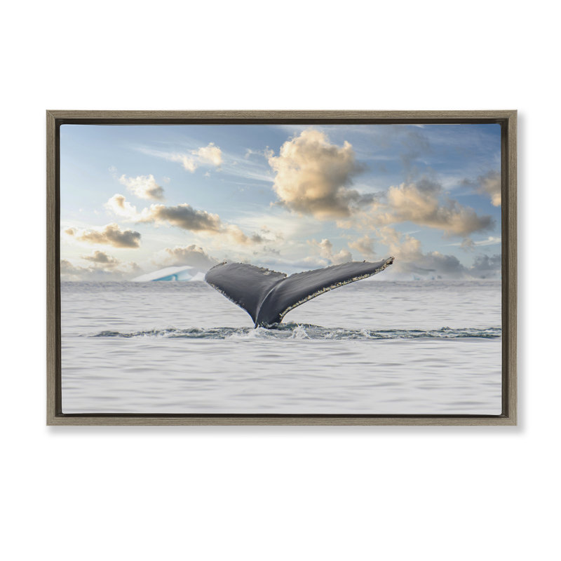 Cadre flottant Antarctica, H 17 po x l 25 po, Cadre flottant orme Montalcino