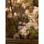 6 pièces de fleurs de cerisier artificielles 39,37 po-81447693