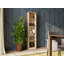 Paridhi Solid Wood Bookcase-974680540