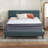 White Noise Camille 14'' Plush Hybrid Mattress and Box Spring-1964404682