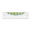 Seashore Mint-1577323567