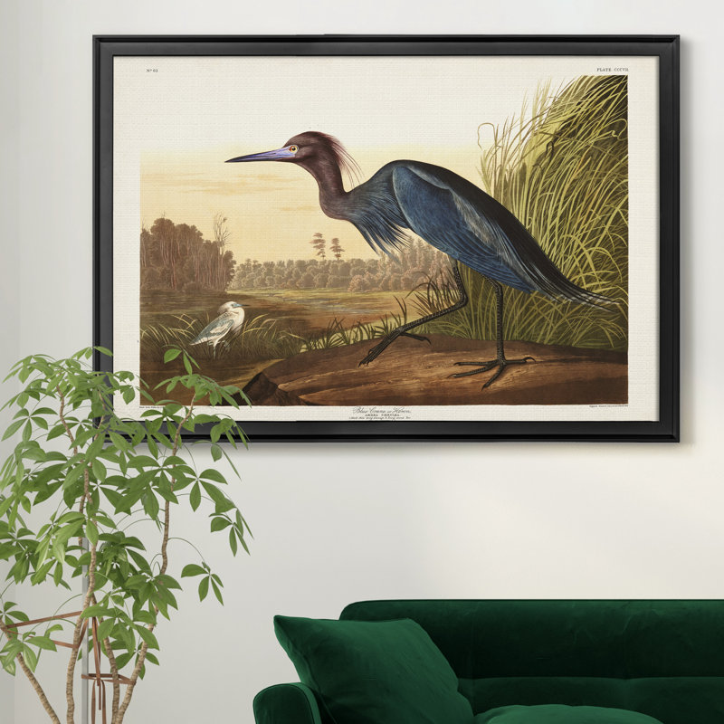 Blue Crane - reproduction d'art sur toile, H 22,5 po x l 30,5 po x P 1,5 po, Noir