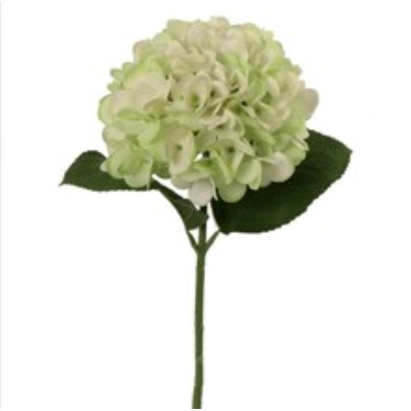 Tige d'hortensia 18 po - paquet de 6