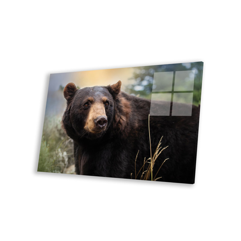 «Montana Black Bear On» par Patsy Weingart