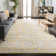 Gourdine Performance Geometric Rug