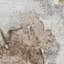Brown Contemporary Silk Rug-503768548