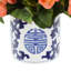 Begonia Arrangement In Ornamental Ceramic Vase-658148944