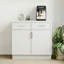 Armoire de base modulaire moderne en bouleau blanc avec structure étroite et quincaillerie à fermeture en douceur, disposition flexible pour les cuisines et espaces polyvalents-122259479-123572247