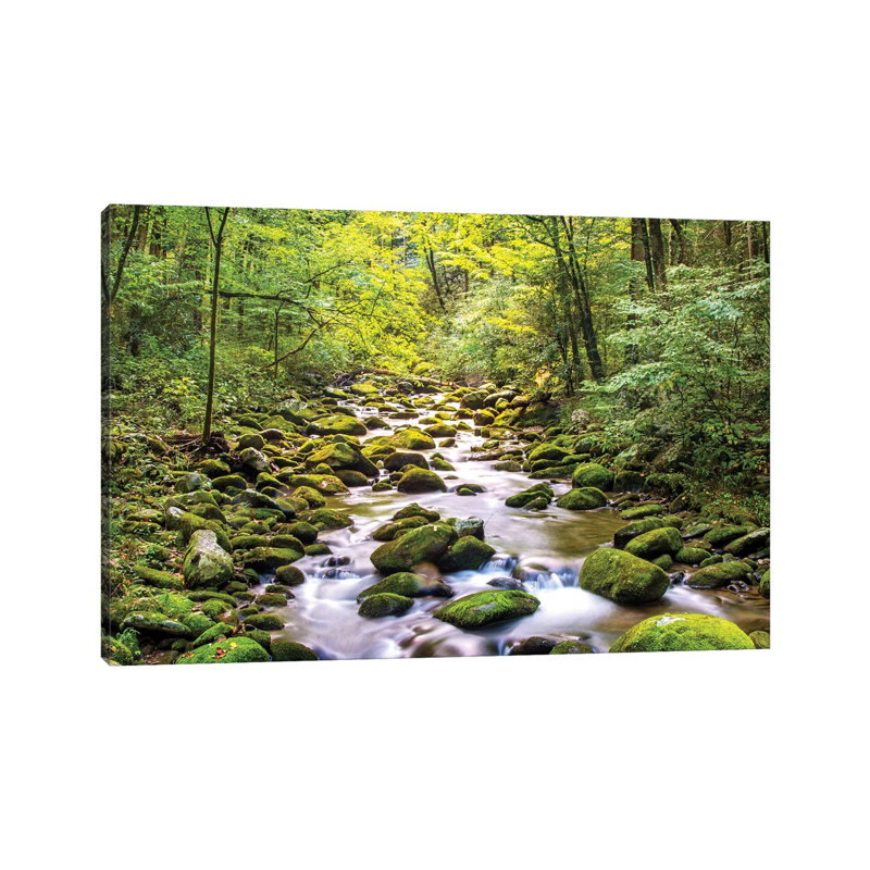Creek Running Through Roaring Fork In Smoky Mountains by Susan Schmitz - Print on Canvas, Wrapped Canvas