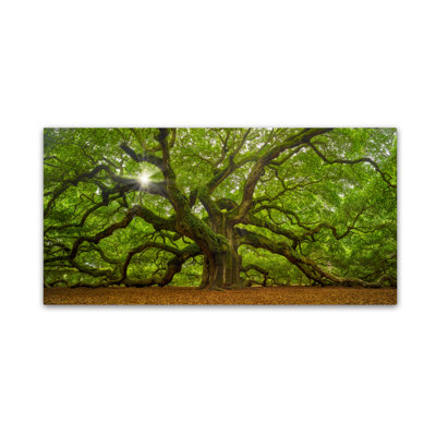 Wrapped Canvas Wall Art - Moises Levy 'The Tree 1 OL' Wall Art for Living Room, Bedroom, or Office Décor - 10X19