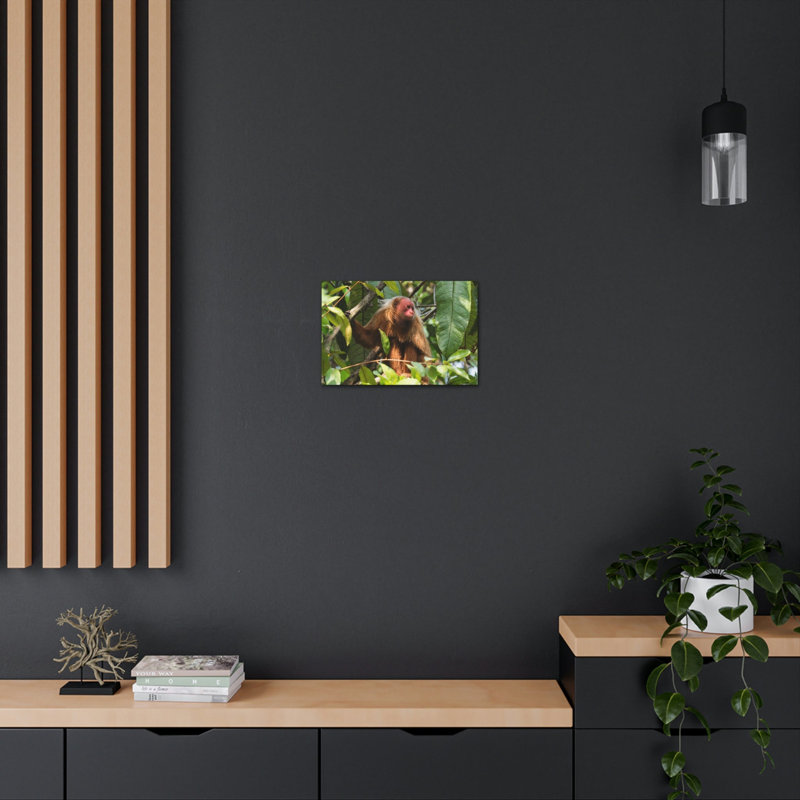 Art mural majestueux Uakari, H 12 po x l 18 po