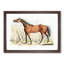 Dark-Brown Horse by Henry Alken - Picture Frame Painting Print-55491013-55491014
