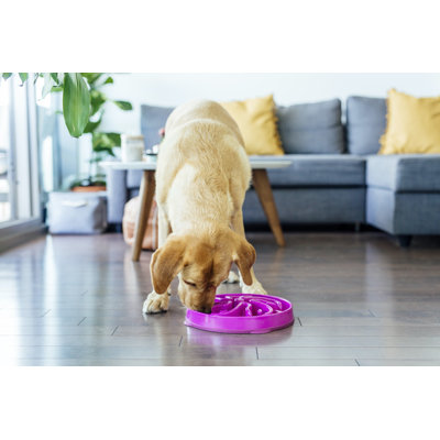 Outward Hound Fun Feeder Slow Bowl, Slow Feeder Dog Bowl, Large, Purple