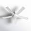 Ventilateur de plafond standard à 5 pales de 52 po avec chaîne de traction et ensemble d'éclairage inclus Marcin Aleksiejus-60860955