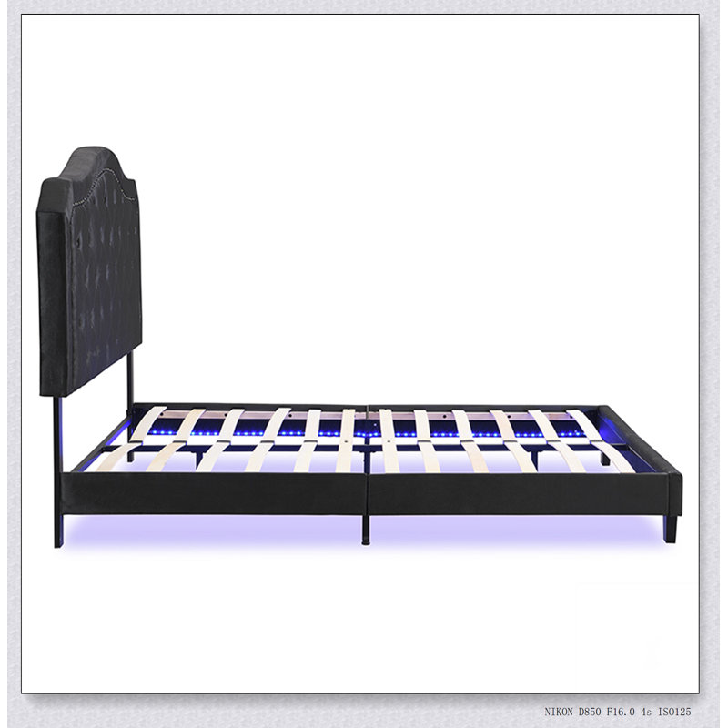 Bouton de lit rembourré capitonné avec un design incurvé - Support de lattes en bois massif - Assemblage facile - Velours - Avec lit plateforme à lumière DEL - Grand
