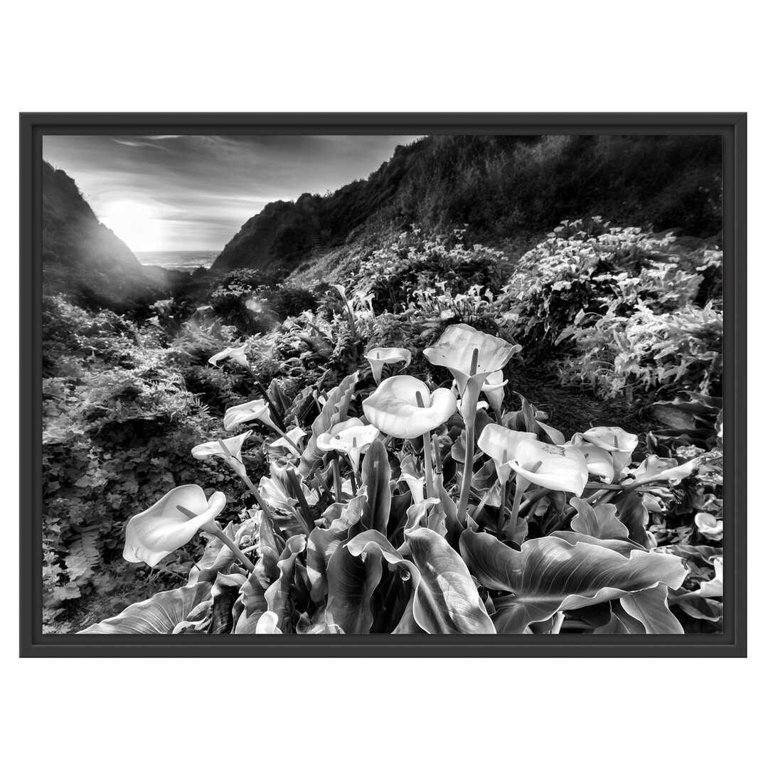 Gerahmtes Wandbild Blumenwiese in den Bergen