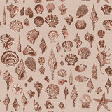 Lowcountry Love Shells Marsh Breeze Wallpaper by Megan Molten