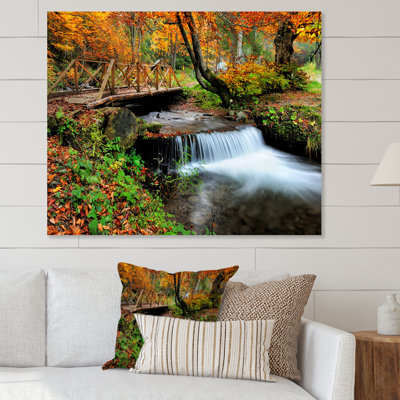 Waterfall In The Autumn Forest " Waterfall In The Autumn Forest "