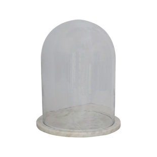 Glass Dome Cloche H-14, 21 Decorative Showcase Display for Antique  Collectibles Bell Jar Terrarium & Dessert Cover