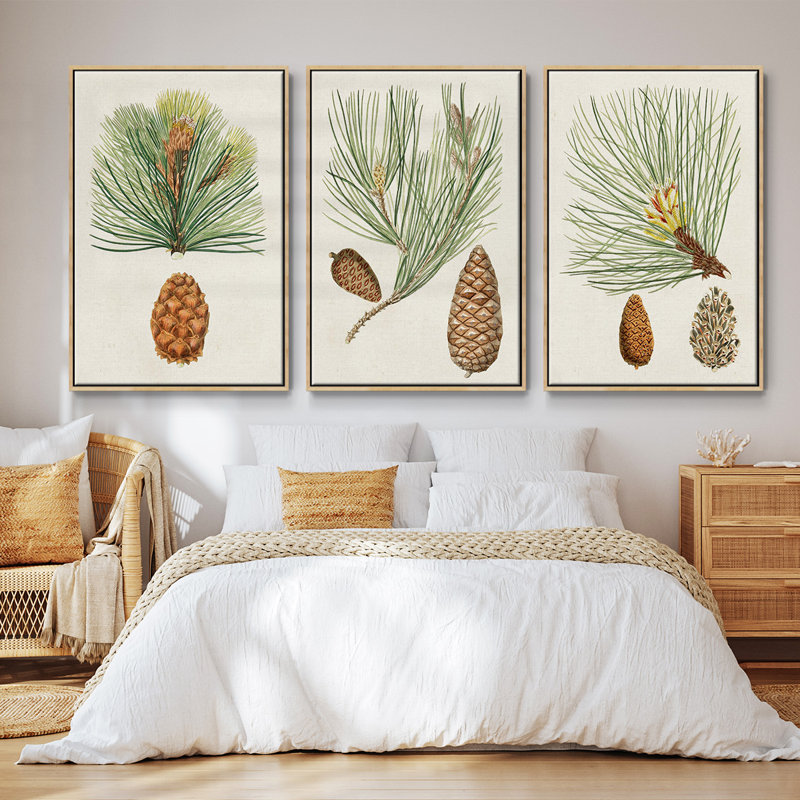 Antique Pine Cones II - 3 pièces, impression sur toile, H 27 po x l 54 po, Naturel