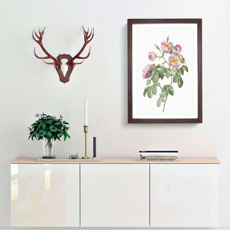 Tomentose Rose in Pink by Pierre-Joseph Redoute - Picture Frame Painting Print, 65cm H x 48cm W x 2cm D, Walnut Framed
