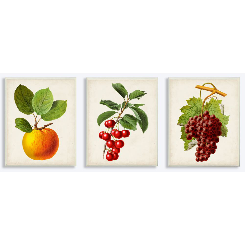 'Vintage Fruits Food Kitchen Dining Room Painting Design' 3 Piece Graphic Art Set on Canvas Gracie Oaks 
