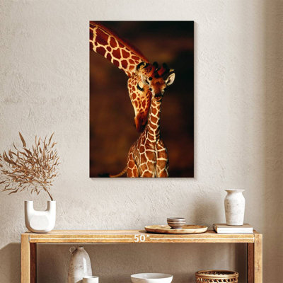 «Brampt Giraffes Gentle Moment»