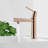 Single Handle Zinc Bathroom Sink Faucet-111170890