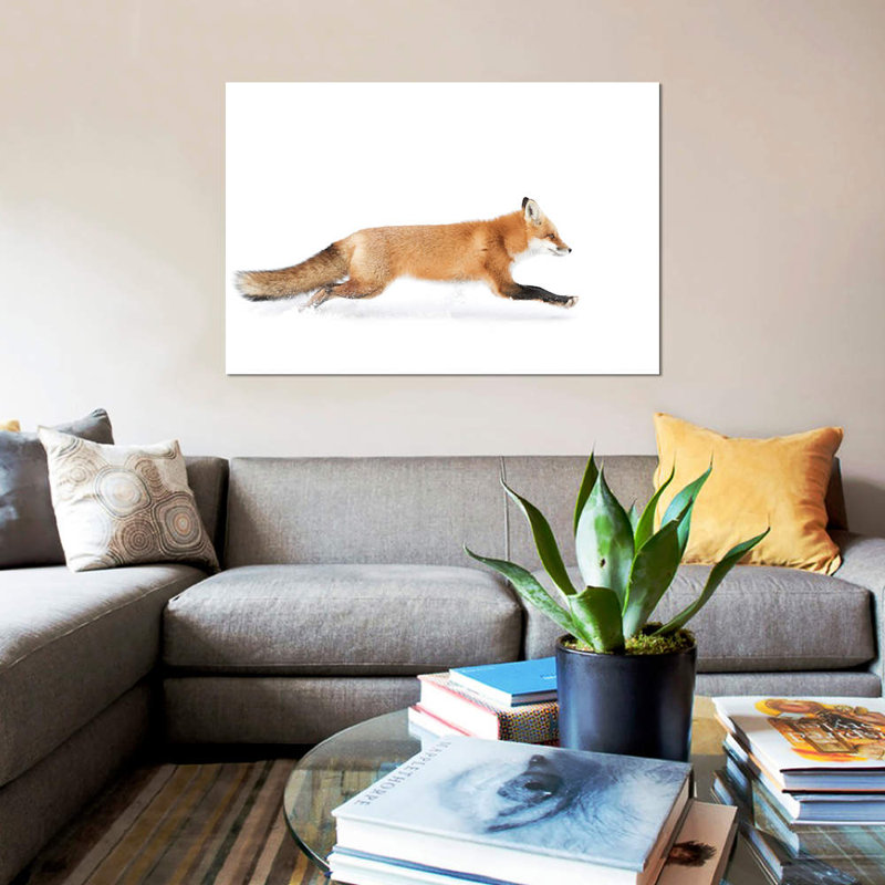 «Red Fox on the Run - Algonquin Park», impression sur toile, H 26 po x l 40 po x P 1,5 po, Toile tendue, Pas de tapis