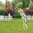 Steel Backdrops & Signs-98105516