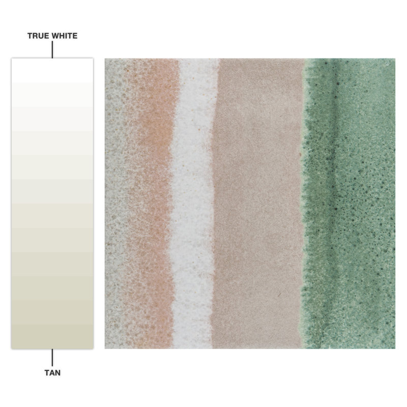Matter Canvas 6" x 6" Porcelain Stone Look Floor and Wall Tile, Taupe/Green