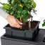 Trio Planter Box-16493114-16493116