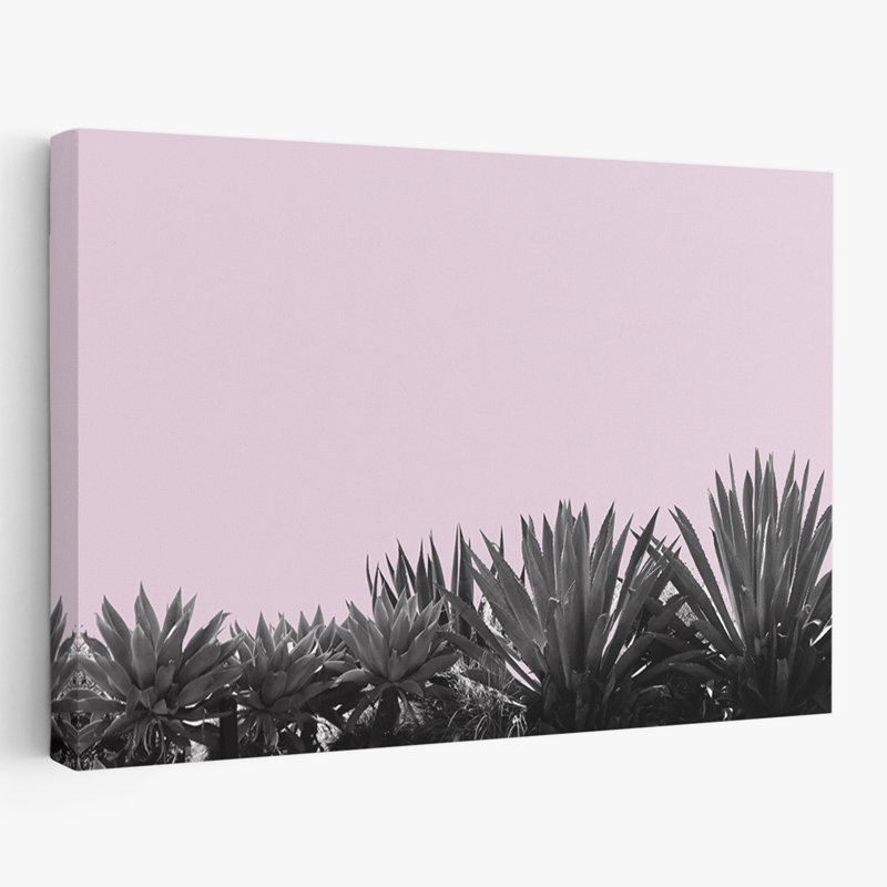 Paysage, nature, plantes, fleurs, jardin de plantes grasses, H 16 po x l 24 po