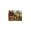 Art mural mignon sur toile 12 po x 16 po
