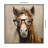Hay Those Are My Glasses Horse by The Creative Bunch Studio Framed Canvas Wall Art Print-702788285