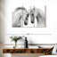 Chevaux courtisant-107945709