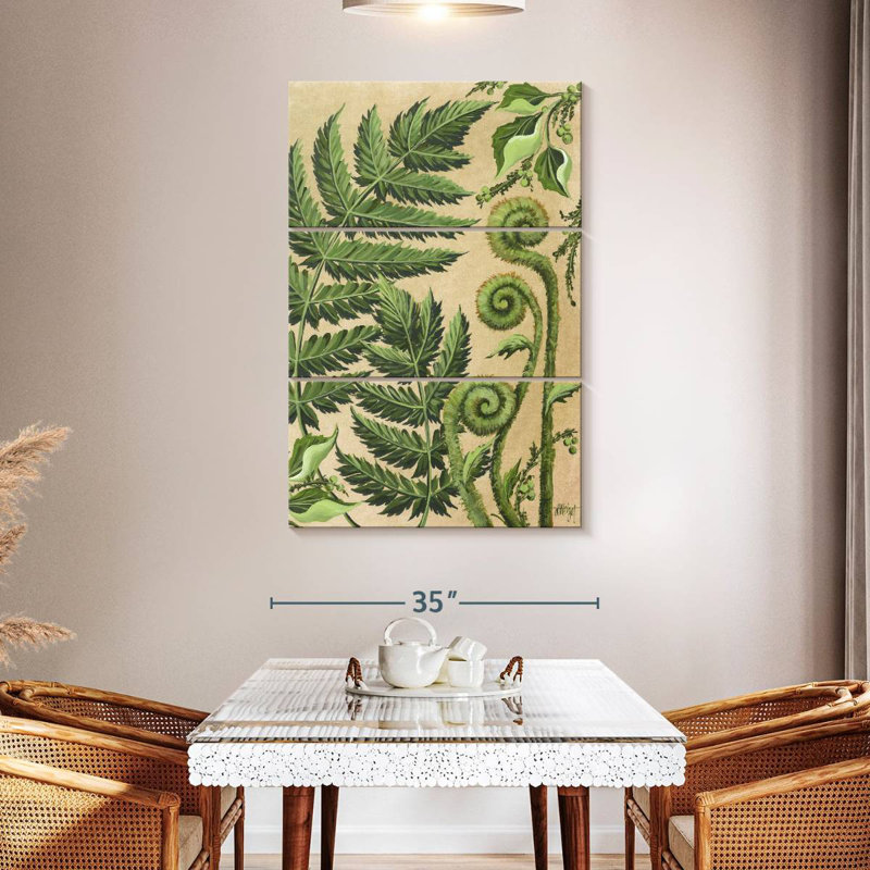 Harnek Various Ferns