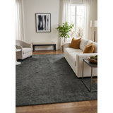 Sita Hand Loomed Rectangle Indoor Area Rug in Beige