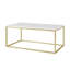 Anna Frame Coffee Table-50834314