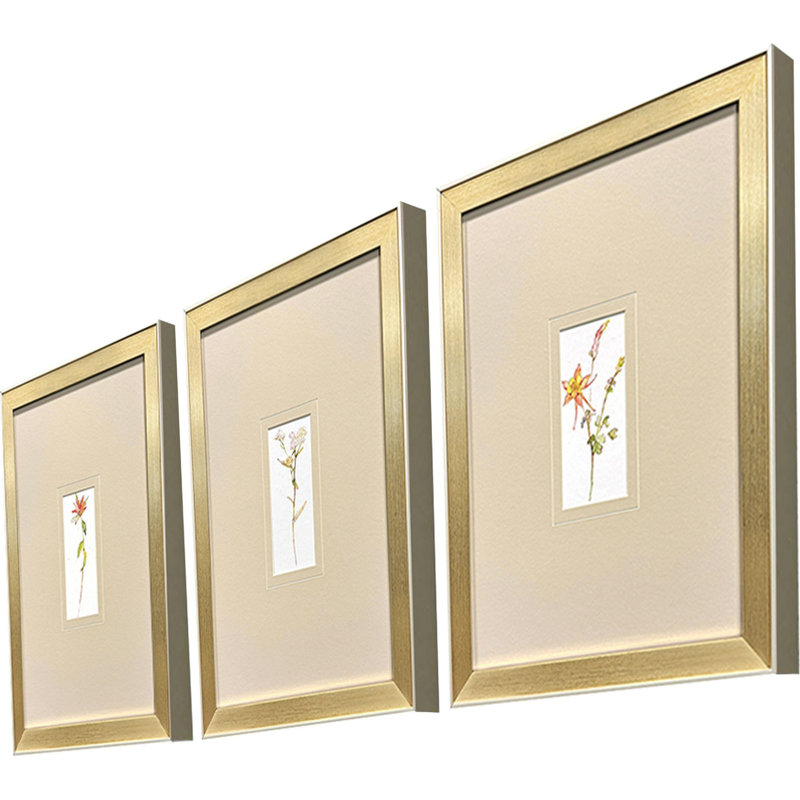 Pretty Florals II S/3 Print by Keeling Propac Images