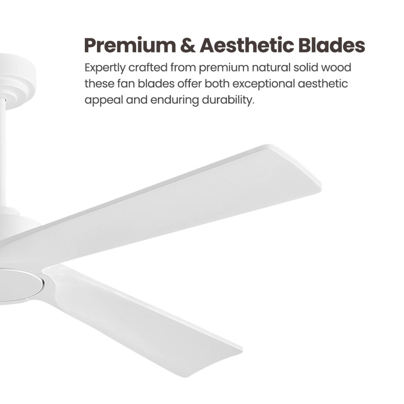 4-Solid Wood Blades Indoor Standard Ceiling Fan with Remote Down-Rod Mount, White, 54inch, White