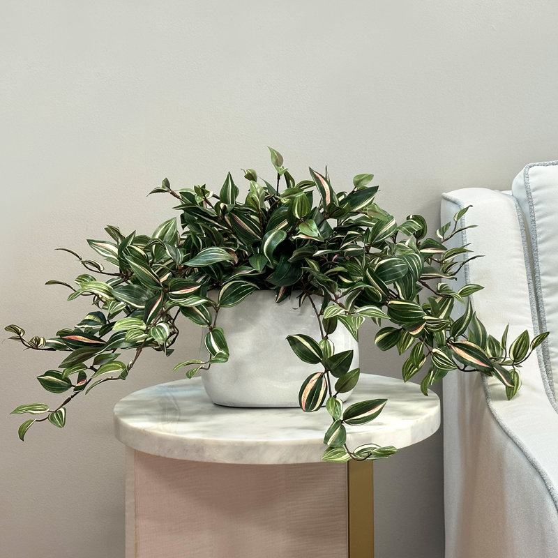 Tradescantia Zebrina Arranged In Ceramic Vase, Green, 14"H x 26"W x 17"D