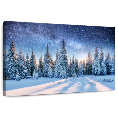 Alvord Winter Pines