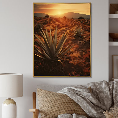 " Succulent Field In Texas "
