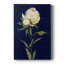 JOLIE COMME PEONY II - Cavas enveloppés de galerie-108827922