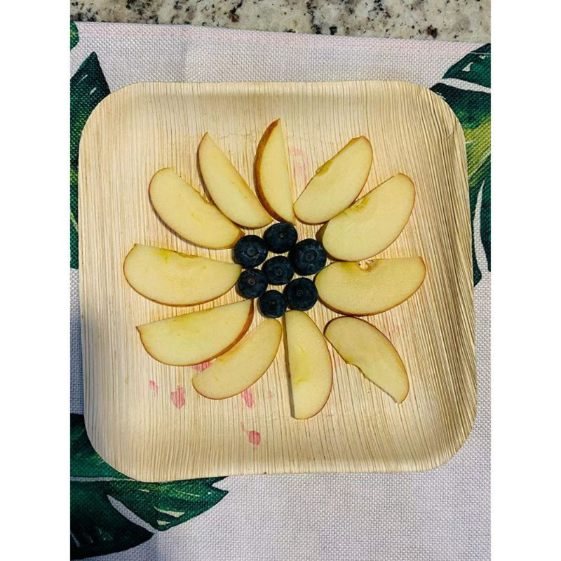 Disposable Dessert Plate