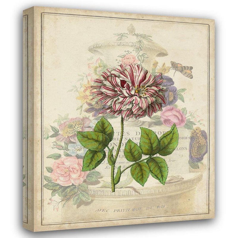 Art sur toile tendue Lark Manor ™ Vision Studio, titré: ex-libris rose rétro, H 24 po x l 20 po