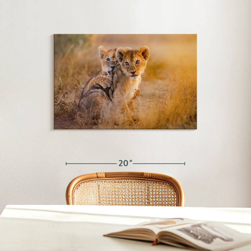 Adorables lionceaux Brampt, H 16 po x l 24 po
