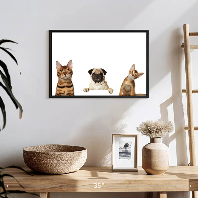 Pug And Cats, 13" H x 19" W
