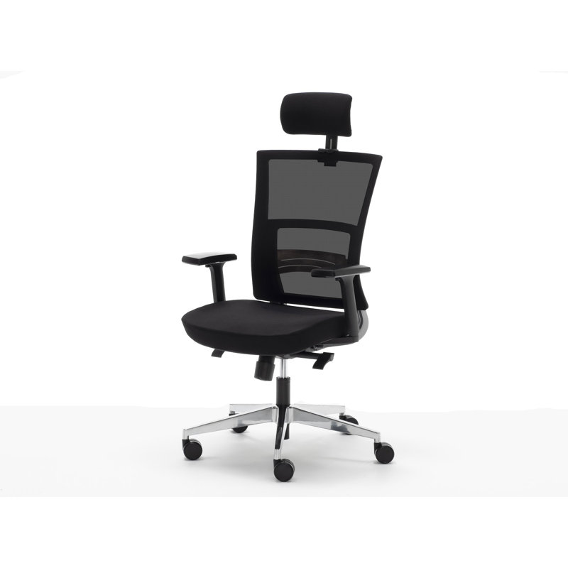 Symple Stuff Office Chair with Headrest